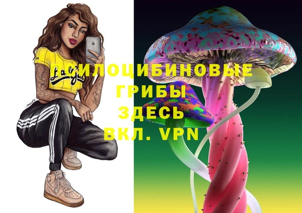 дживик Алексин