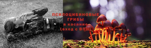 эйфоретик Алзамай