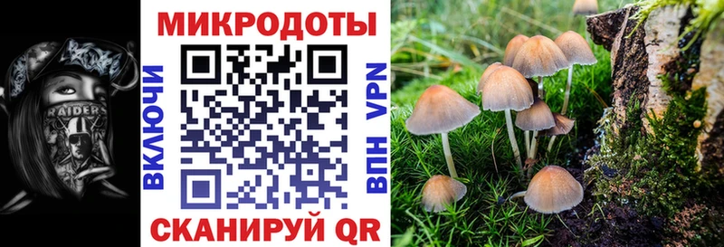 закладки  Константиновск  Галлюциногенные грибы мицелий 
