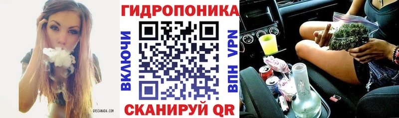 наркотики  Константиновск  МАРИХУАНА ГИДРОПОН 